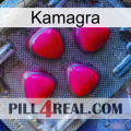 Kamagra 13